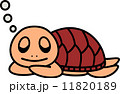 ウミガメ（いねむり） 11820189