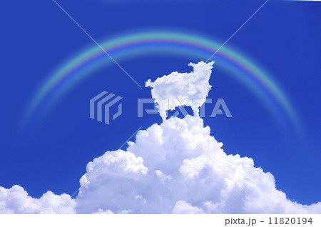 羊雲 11820194