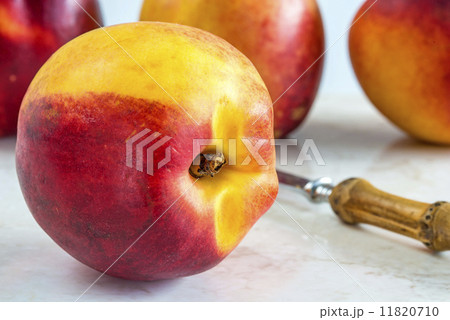 nectarine nectarine 11820710