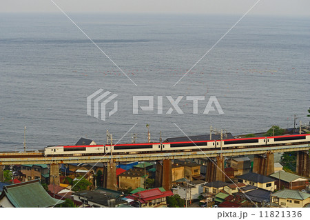 東海道線 E259系 マリンエクスプレス踊り子号 東海道線 E259系 マリンエクスプレス踊り子号 11821336