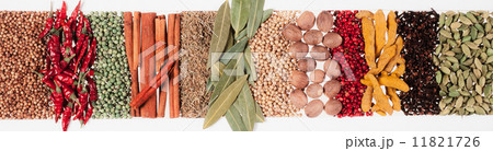 スパイス集合 スパイス集合 11821726