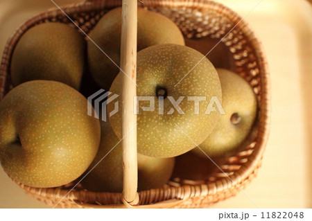 フルーツ(幸水梨)    フルーツ(幸水梨)    11822048