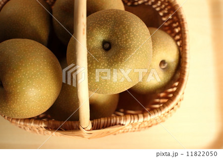 フルーツ(幸水梨)    フルーツ(幸水梨)    11822050