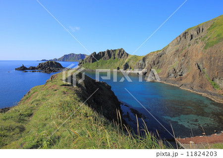 礼文島・澄海岬からの眺望 11824203