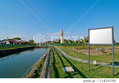 Venice Burano Mazorbo vineyard 11824290