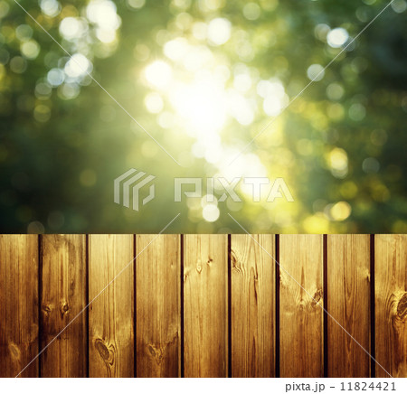 fence in forest fence in forest 11824421