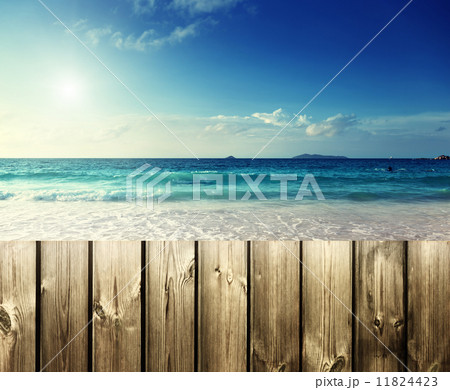 fence on the beach 11824423