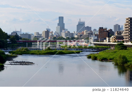 広瀬川と仙台市の街並み 11824640