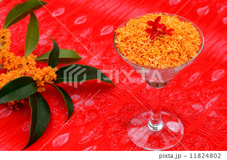 きんもくせい きんもくせい 11824802