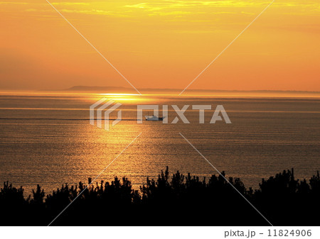 夕陽と海 11824906