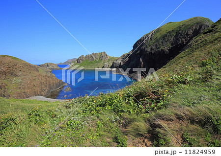 礼文島・澄海岬からの眺望 11824959