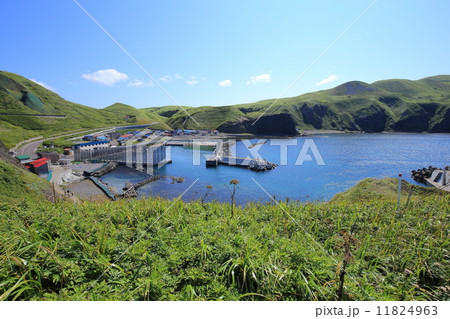 礼文島 澄海岬からの眺望の写真素材