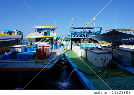 モルディブ　首都マレ 11825308