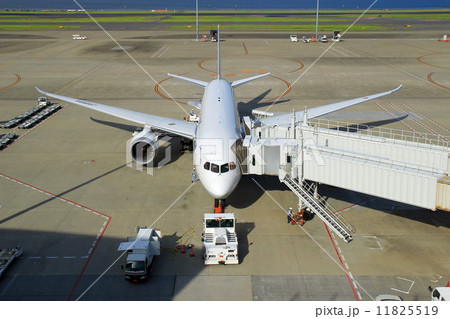 航空機 11825519