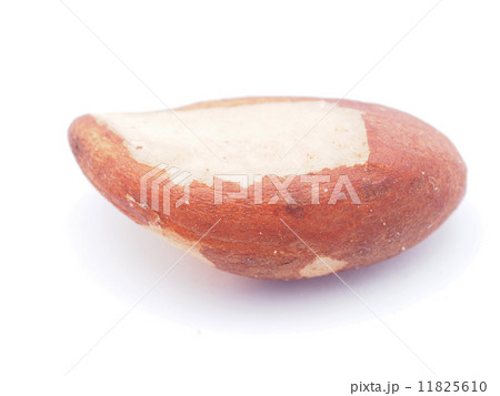 nuts on a white background nuts on a white background 11825610