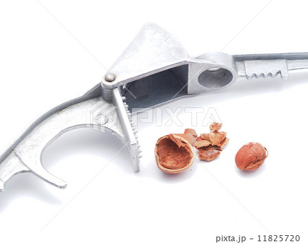 nutcracker on white background 11825720