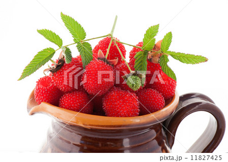 berry garden hybrid of blackberry and raspberry in a clay jug berry garden hybrid of blackberry and raspberry in a clay jug 11827425