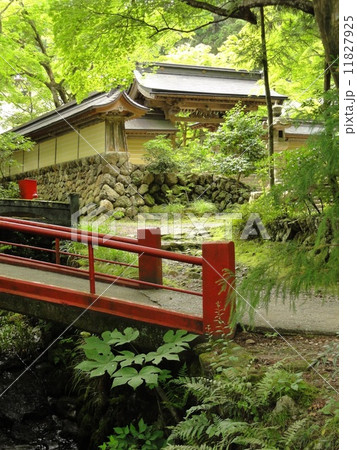 深緑の谷汲山華厳寺 深緑の谷汲山華厳寺 11827925