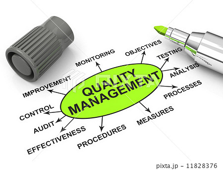 quality management 11828376