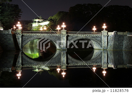 皇居　二重橋ライトアップ 11828576