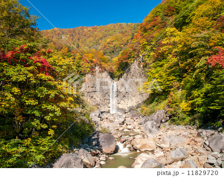 苗名滝　紅葉 11829720