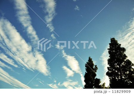 夕空と雲 夕空と雲 11829909