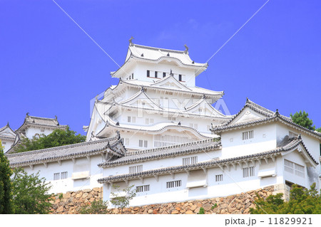 7月兵庫 保存修理工事完了後の姫路城大天守と櫓 7月兵庫 保存修理工事完了後の姫路城大天守と櫓 11829921