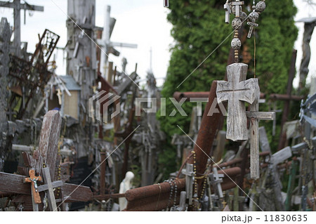 十字架の丘 11830635