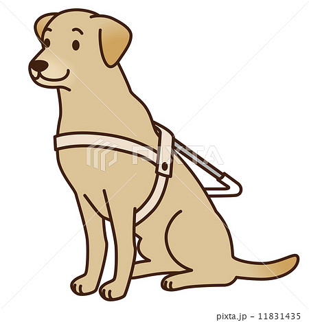 盲導犬　補助犬 11831435