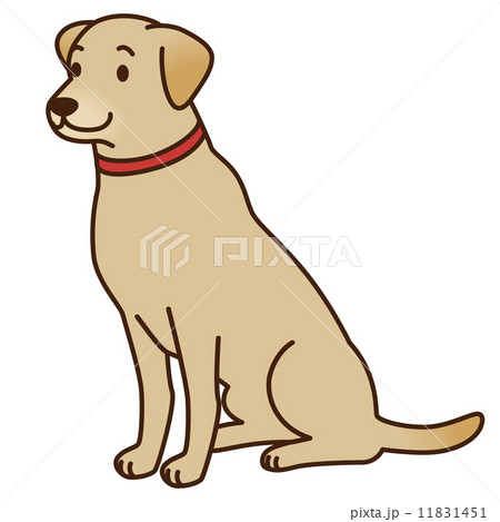 犬 レトリバー 盲導犬のイラスト素材