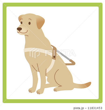 盲導犬 補助犬のイラスト素材