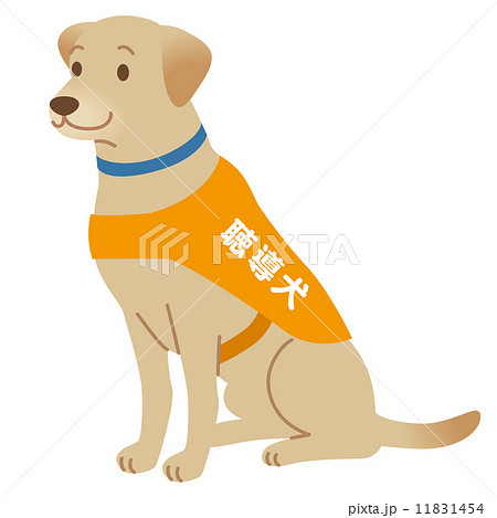 聴導犬 補助犬のイラスト素材