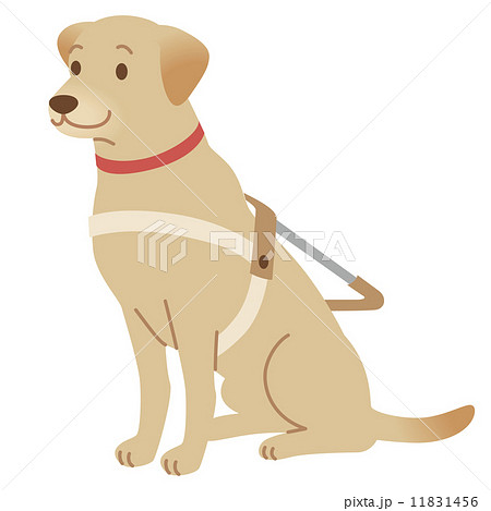 盲導犬 補助犬のイラスト素材