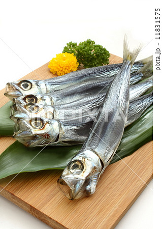 鰯　干物　食材　和食　白背景 11831575