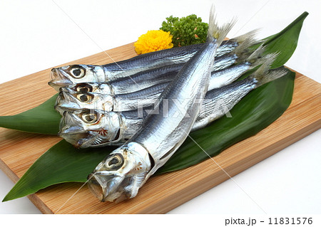 鰯　干物　焼き魚　食材　和食　白背景 11831576