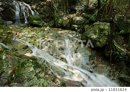 淡河川 岩床 淡河川 岩床 11831624