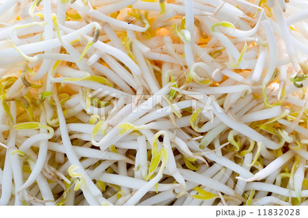 Bean sprouts used in Thai cuisine Bean sprouts used in Thai cuisine 11832028