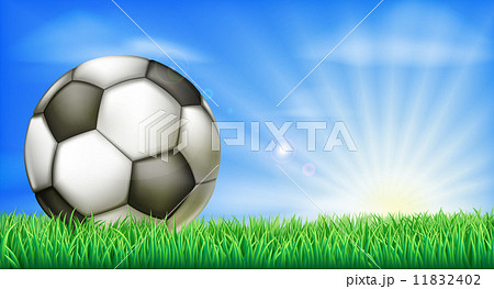 Soccer football ball on pitch 11832402
