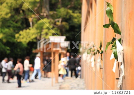 5月三重 伊勢神宮・外宮正宮の榊 5月三重 伊勢神宮・外宮正宮の榊 11832721