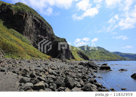 礼文島・メノウ浜 11832959
