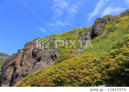 礼文島・メノウ浜の断崖絶壁 11832974