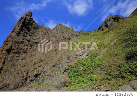 礼文島・メノウ浜の断崖絶壁 11832976