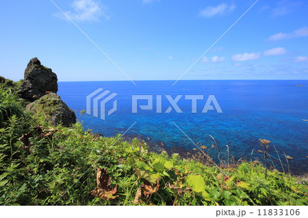 礼文島・桃台猫台からの眺望 11833106