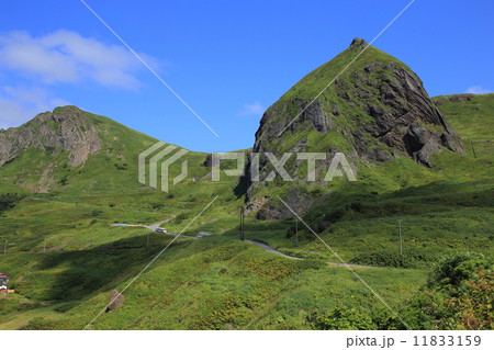 礼文島・桃台猫台からの眺望 11833159
