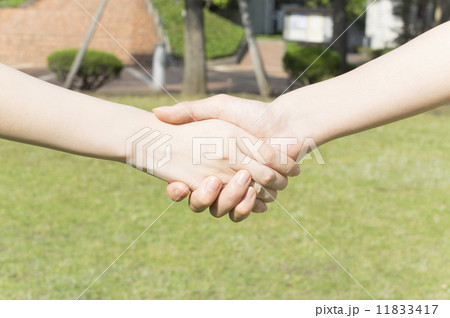友情 握手 女性 友情 握手 女性 11833417