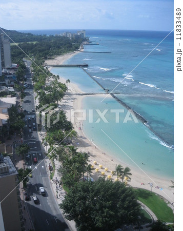 ワイキキビーチ1 ワイキキビーチ1 11833489