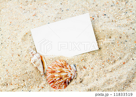 Seashells with blank card Seashells with blank card 11833519