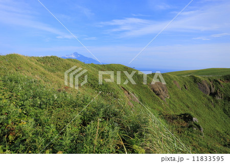 礼文島・桃岩遊歩道からの眺望 11833595