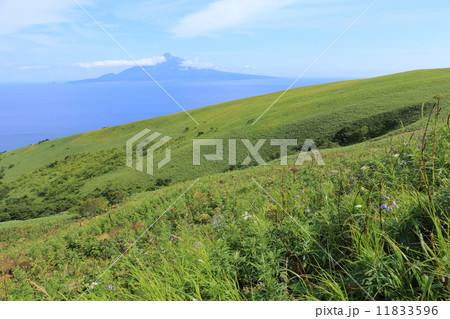 礼文島・桃岩遊歩道からの眺望 11833596