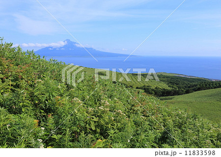 礼文島・桃岩遊歩道からの眺望 11833598
